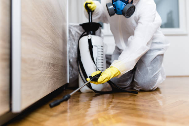 Best Flea Control Services  in Eden, TX
