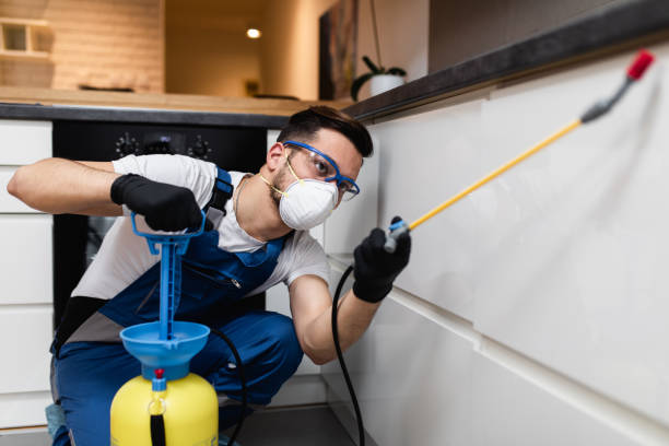 Best Best Pest Control Companies  in Eden, TX