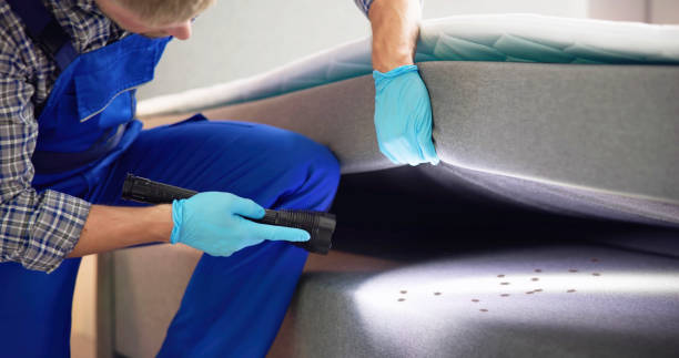 Best Mosquito Control Services  in Eden, TX
