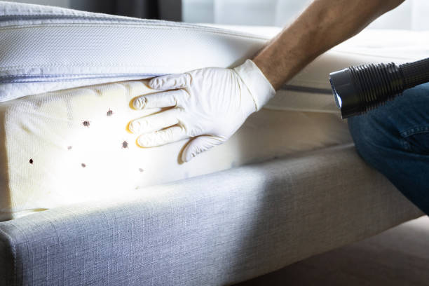 Best Residential Pest Control  in Eden, TX