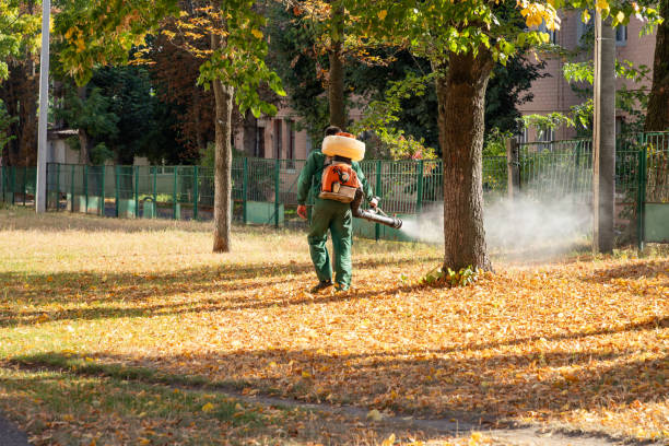 Reliable Eden, TX Pest Control Solutions