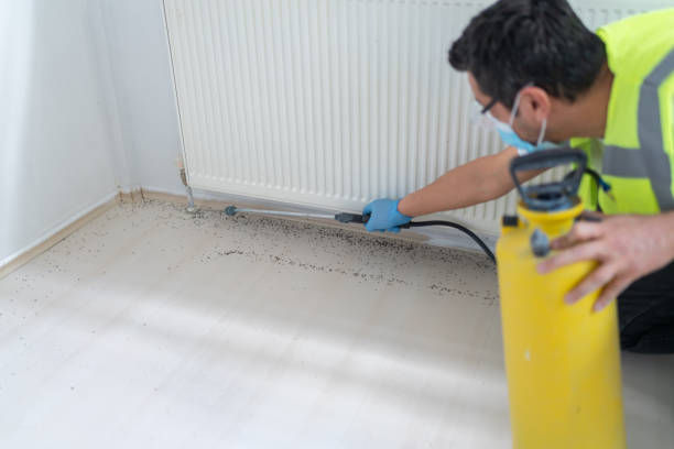 Best Emergency Pest Control  in Eden, TX